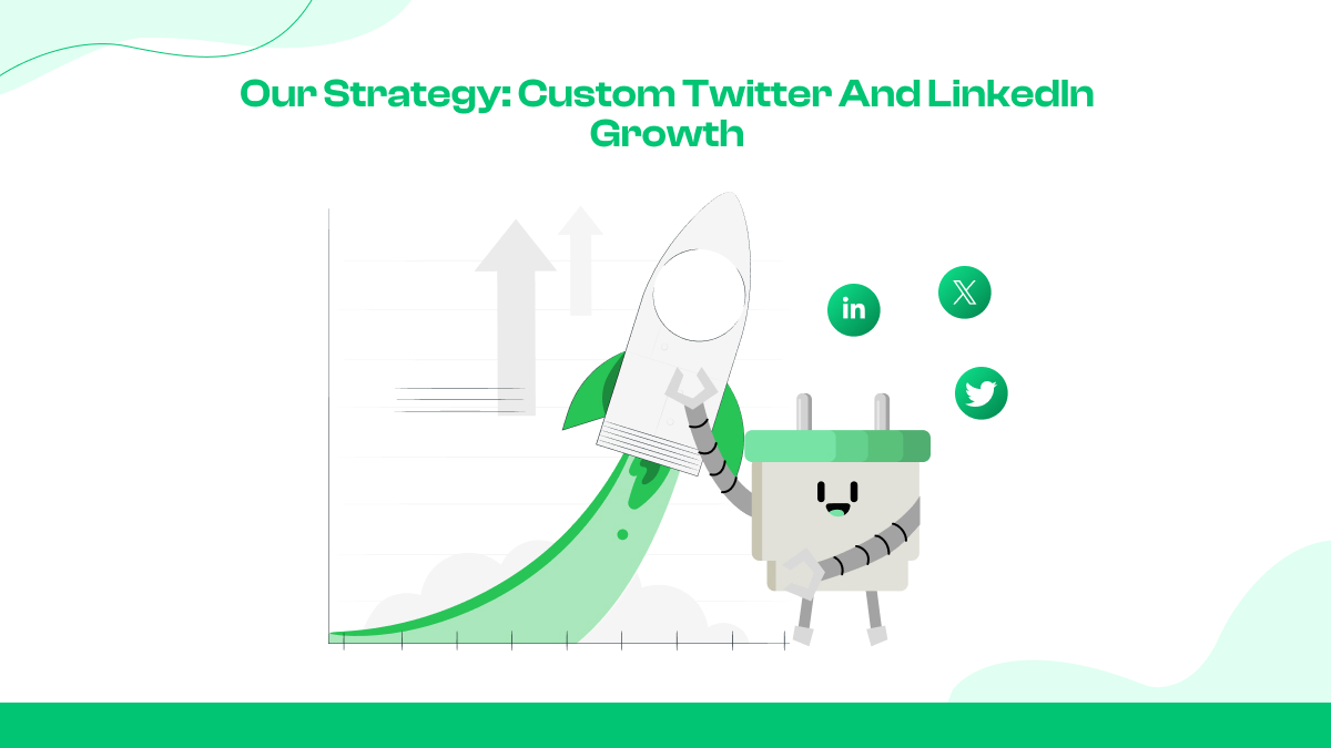 Nossa estratégia: crescimento personalizado do Twitter e do LinkedIn