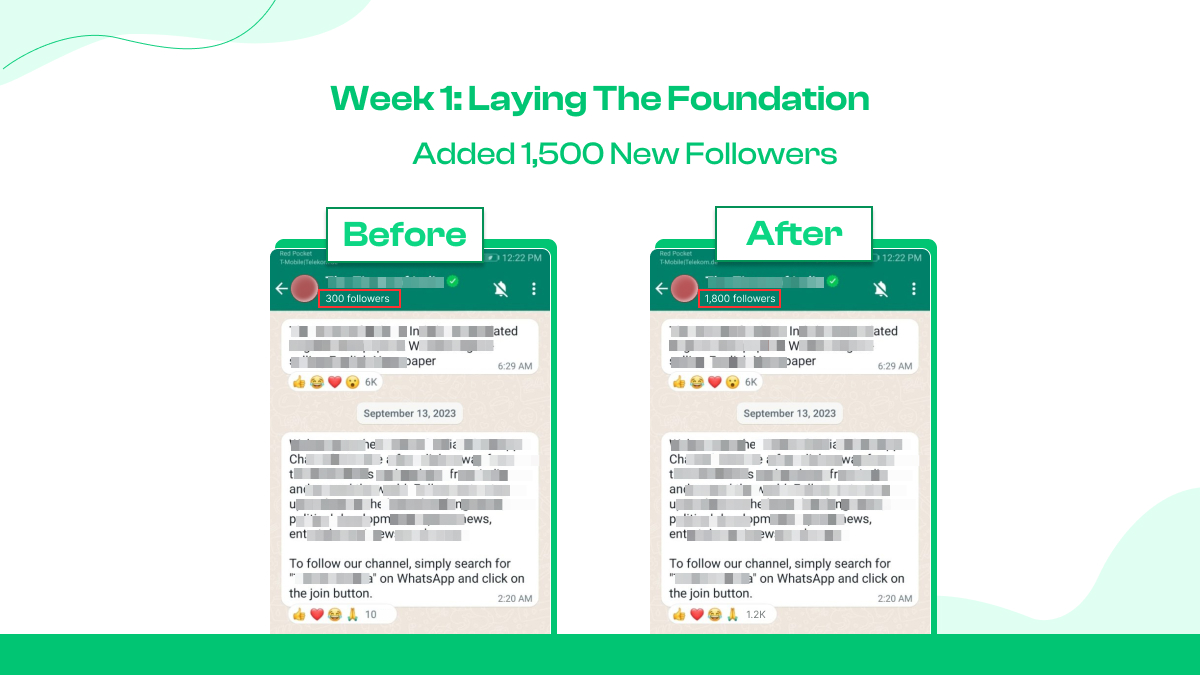 Week 1: Laying the Foundation