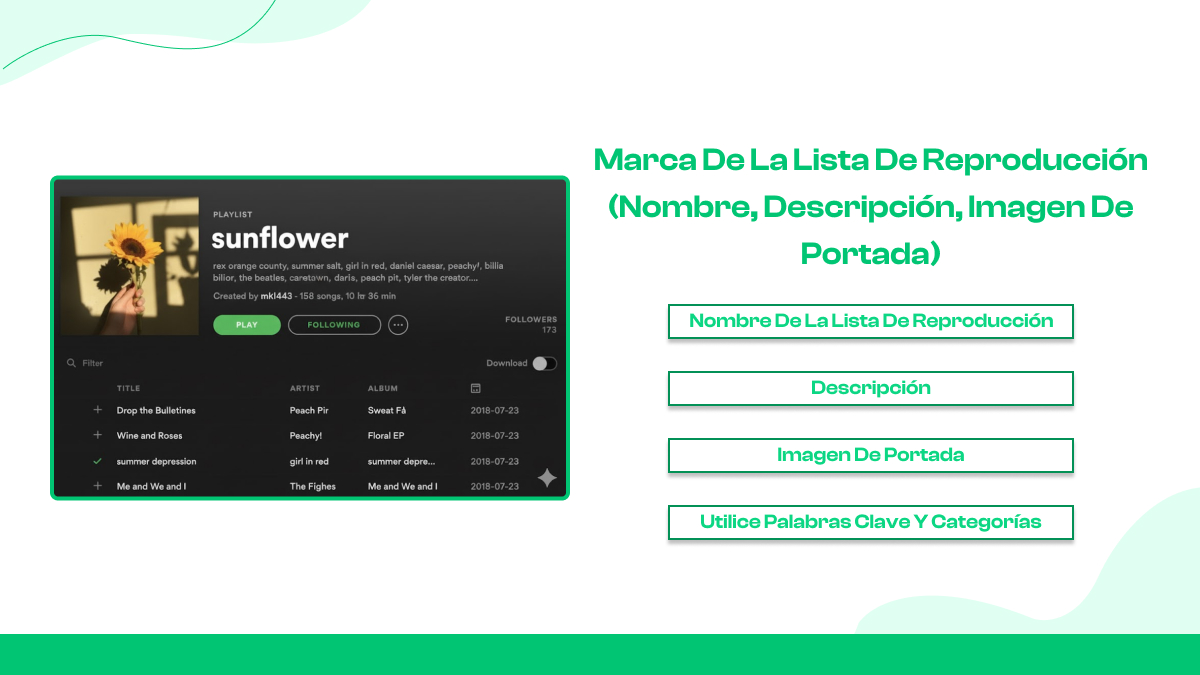 Optimizando tu perfil de Spotify 2