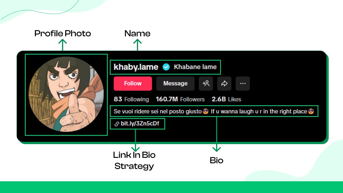 Optimize Your TikTok Profile for Growth