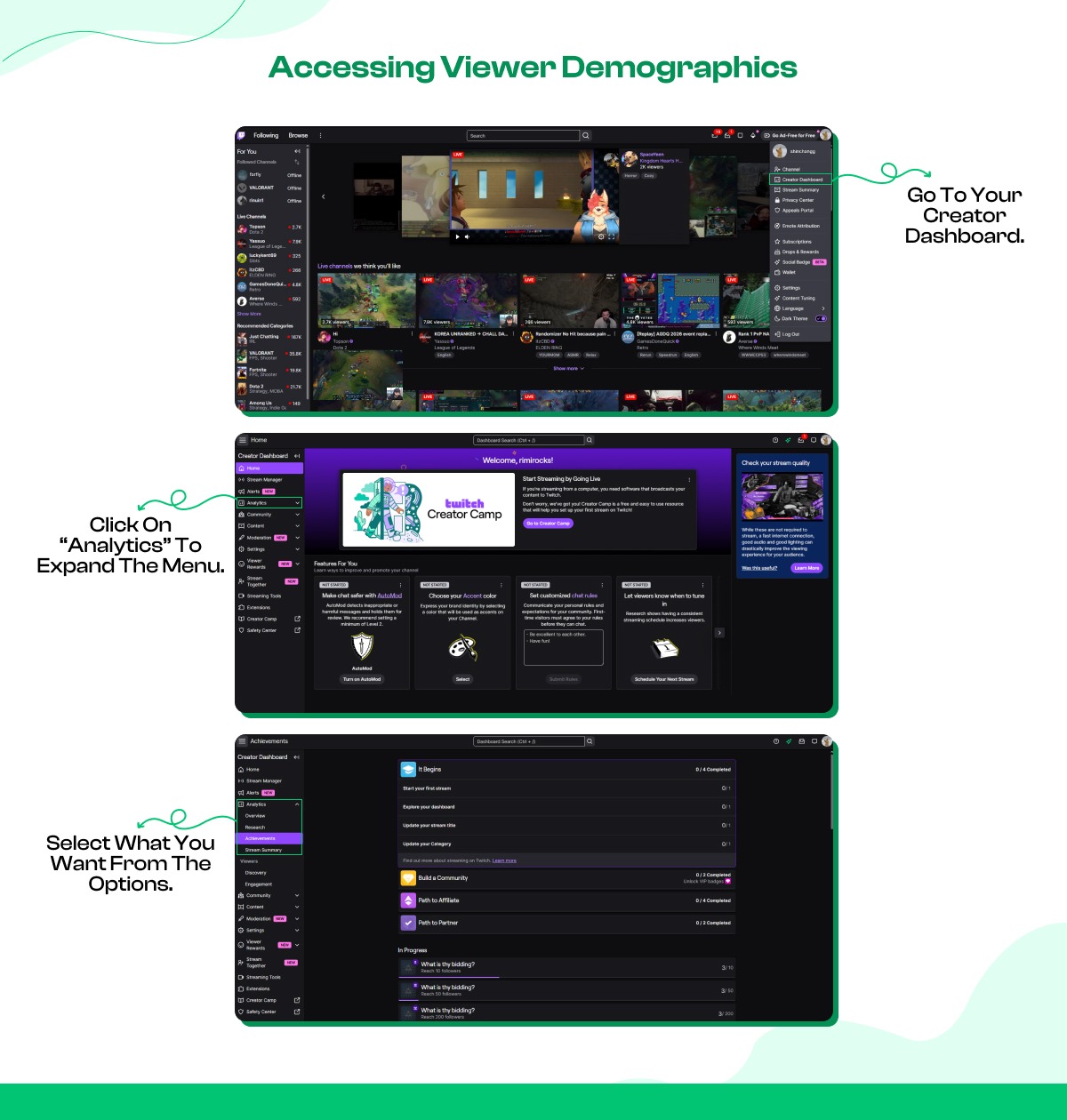 Accessing Viewer Demographics