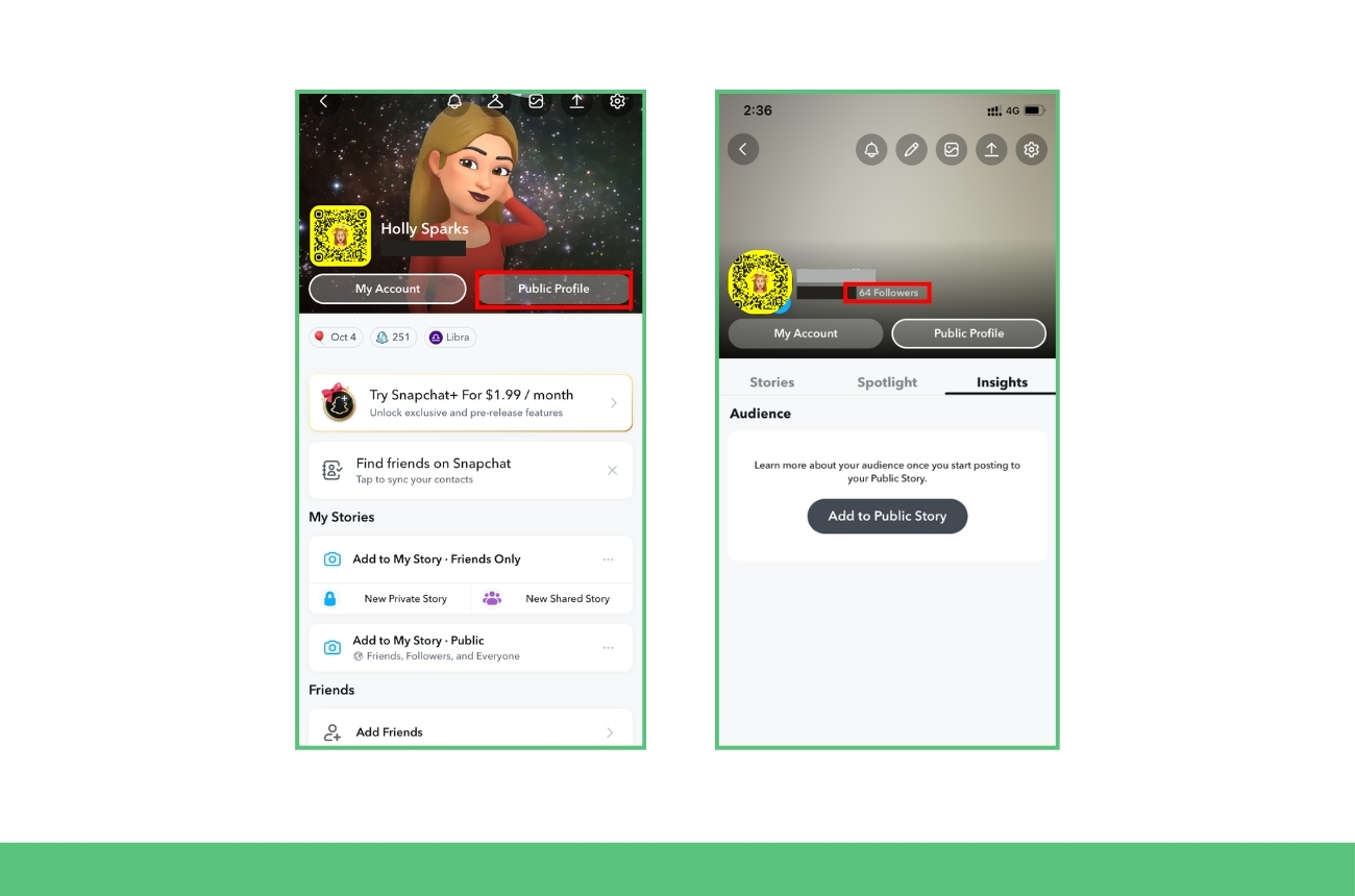 So sehen Sie Follower auf Snapchat: Schritt für Schritt