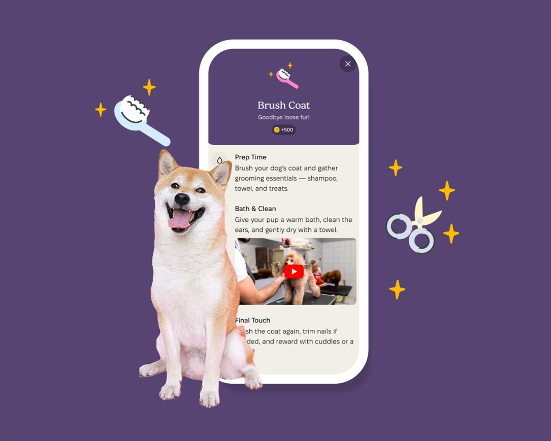 Brush you pet's teeth, earn care coins!