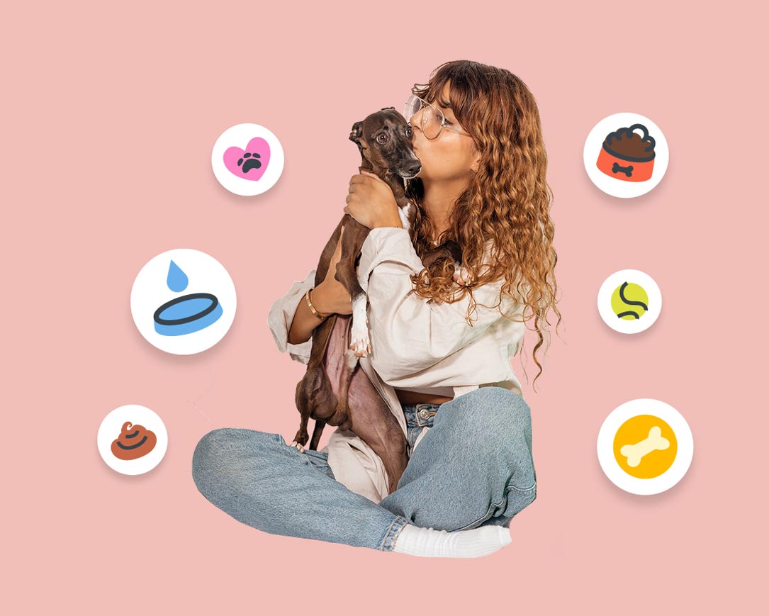 Earn Vetted Care Coins!