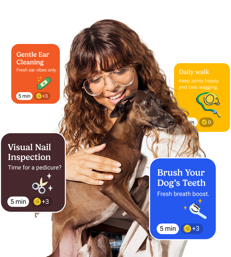 Vetted Pet Health App