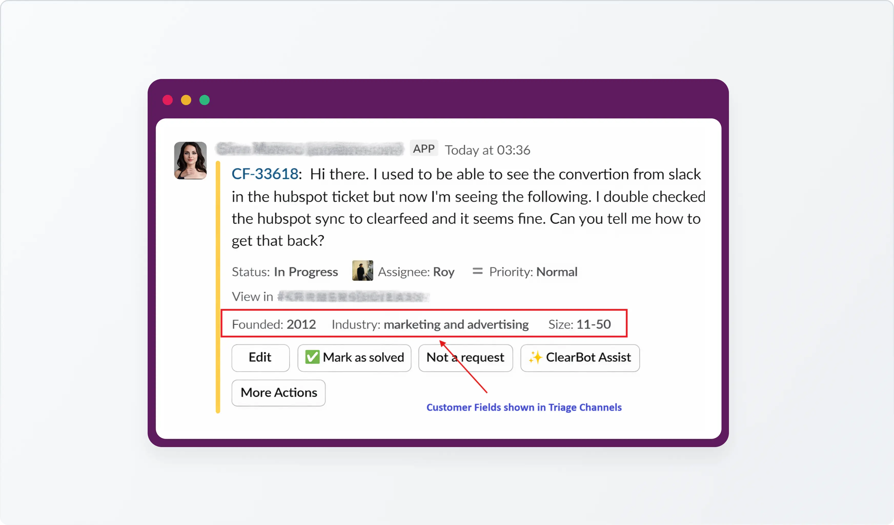 See Customer Context in Slack Triage