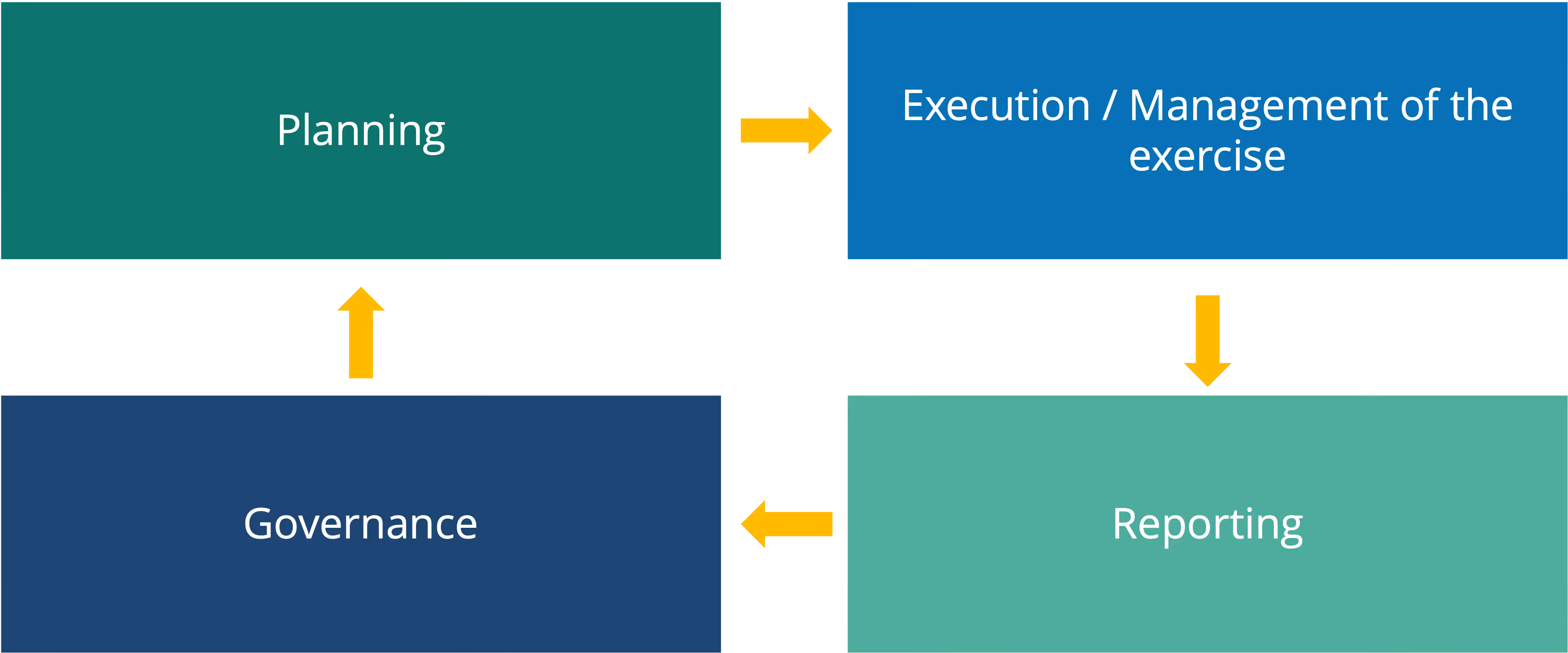 Graphic of four components of Parasolution - Planning, execution, governance, reporting