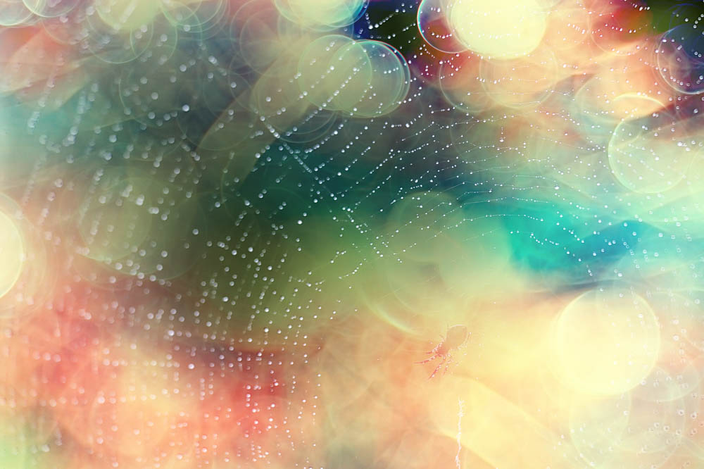 Bild Module 1-6 Aura- und Energiearbeit