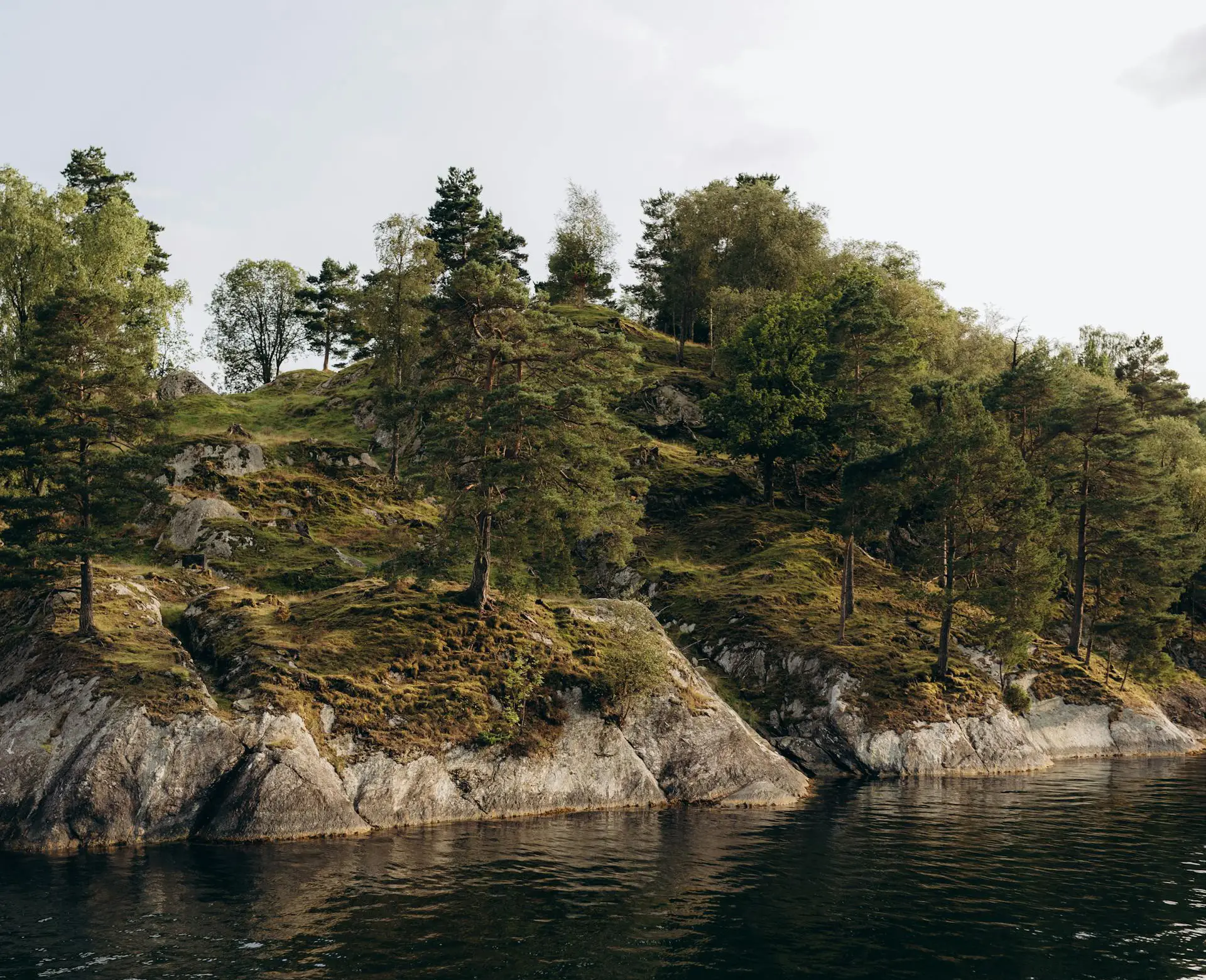 Naturbild som illustrerar inkassoavgift