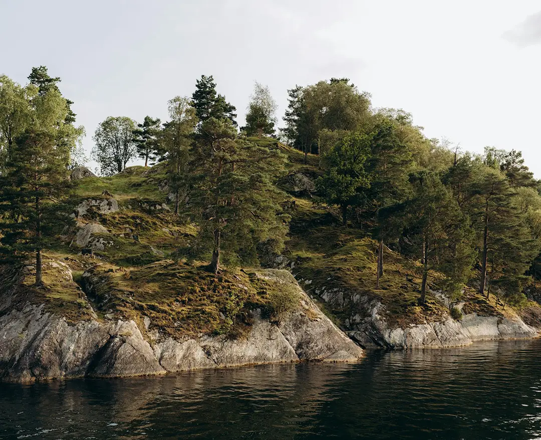 Naturbild som illustrerar inkassoavgift