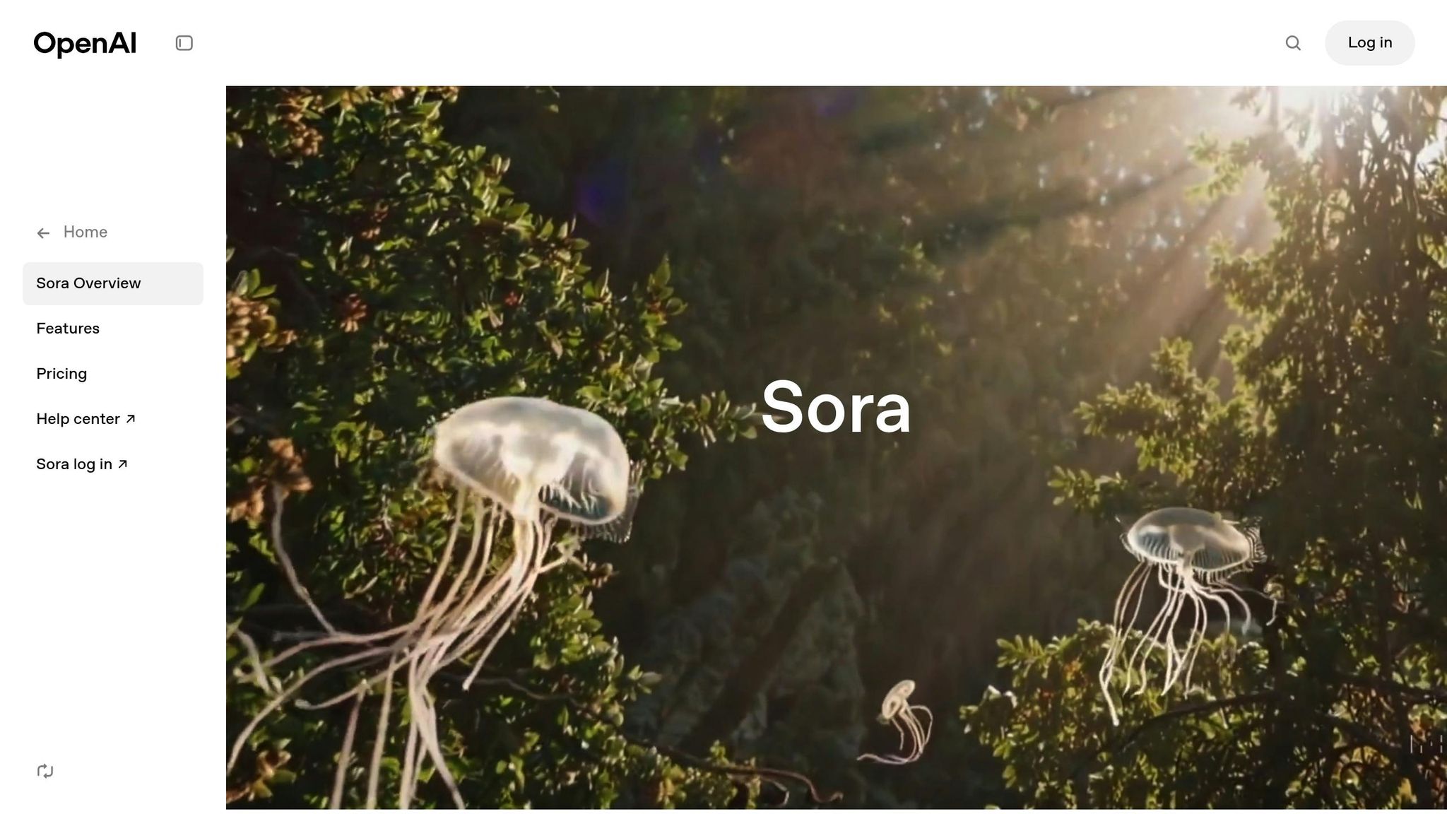Sora