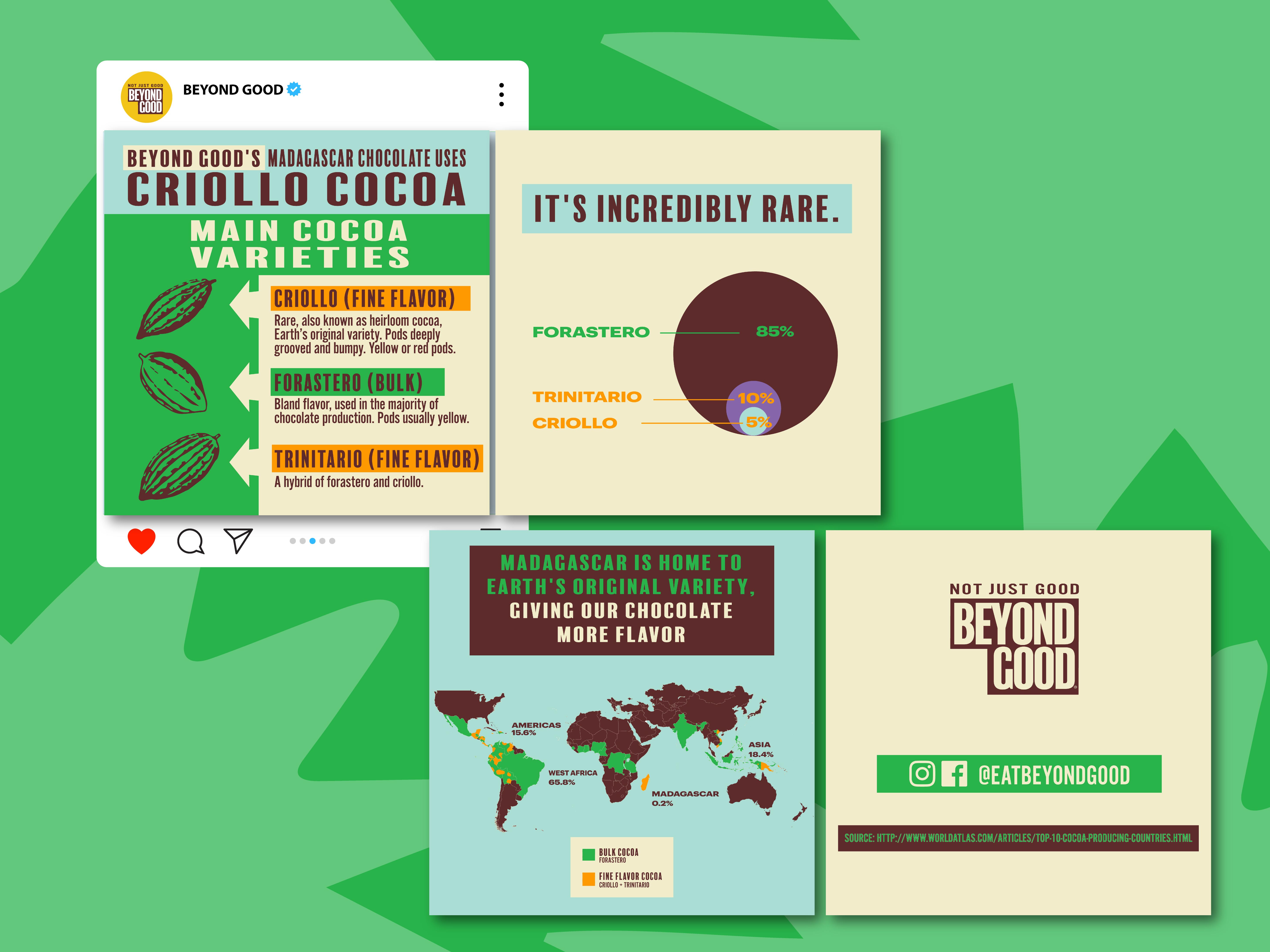 Infographic for Chocolate Brand