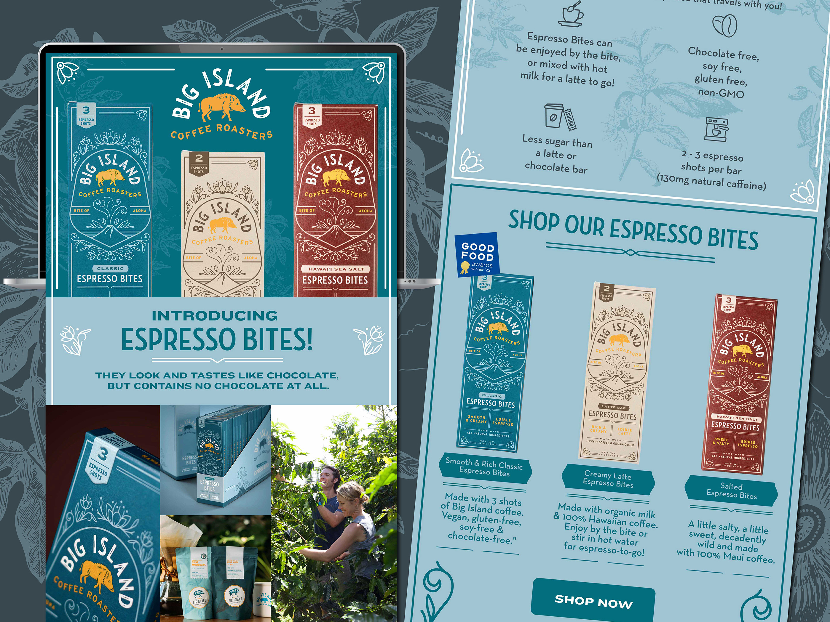 Espresso Bites Newsletter Design