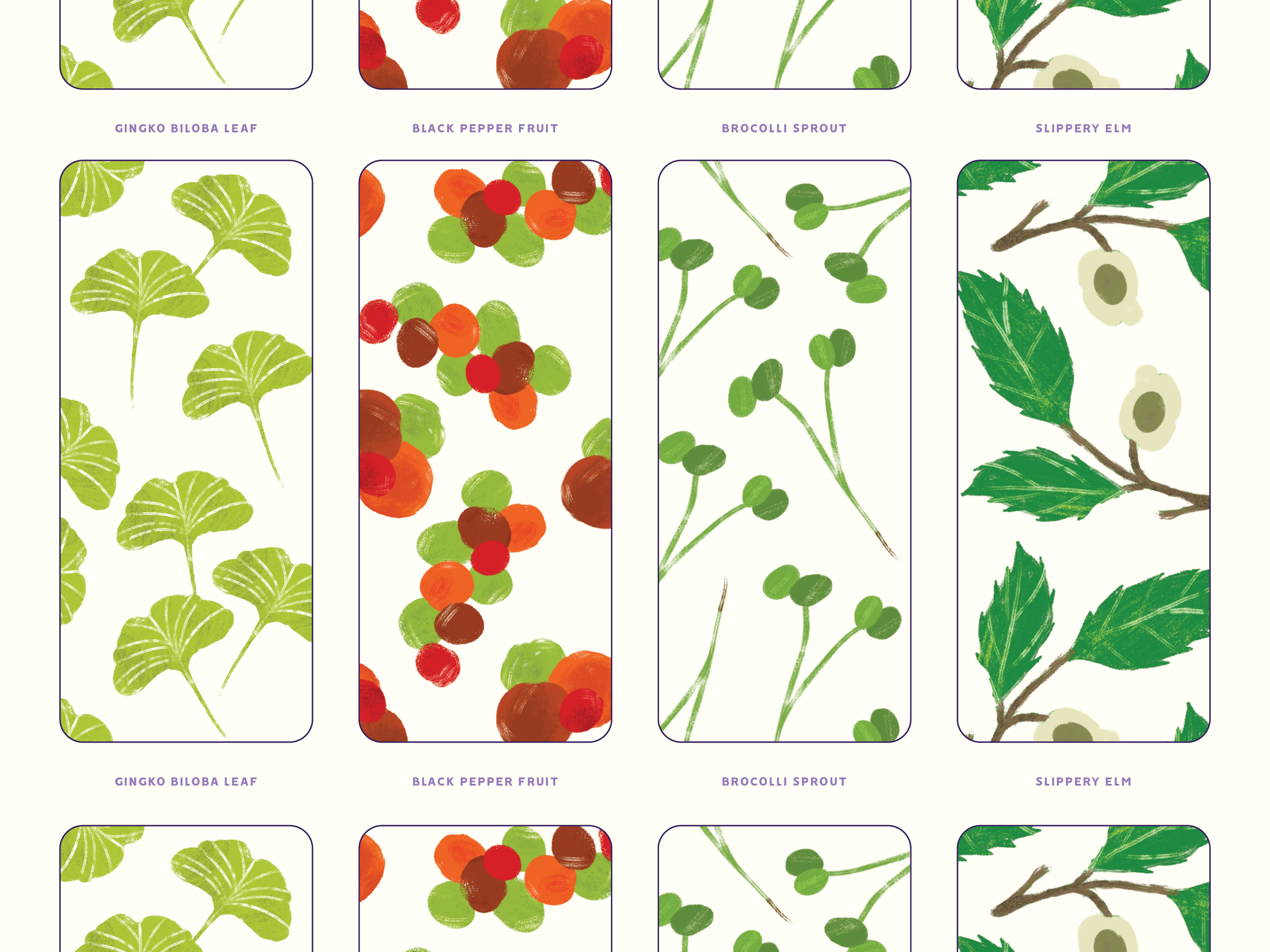 Ingredients Illustration