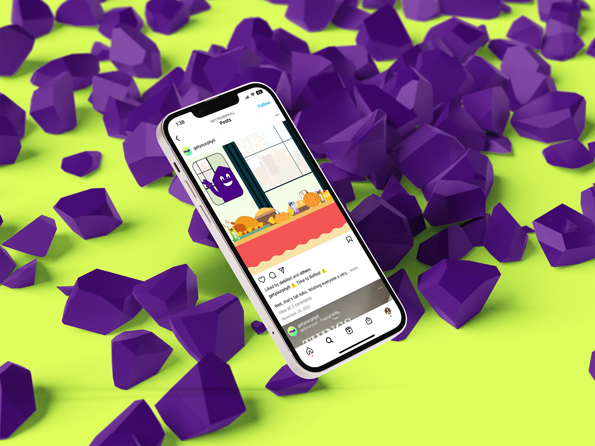 Thanksgiving Design for Protein Drink Brand