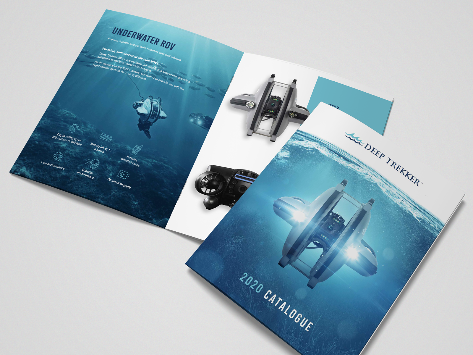Consumer Product Catalog Design