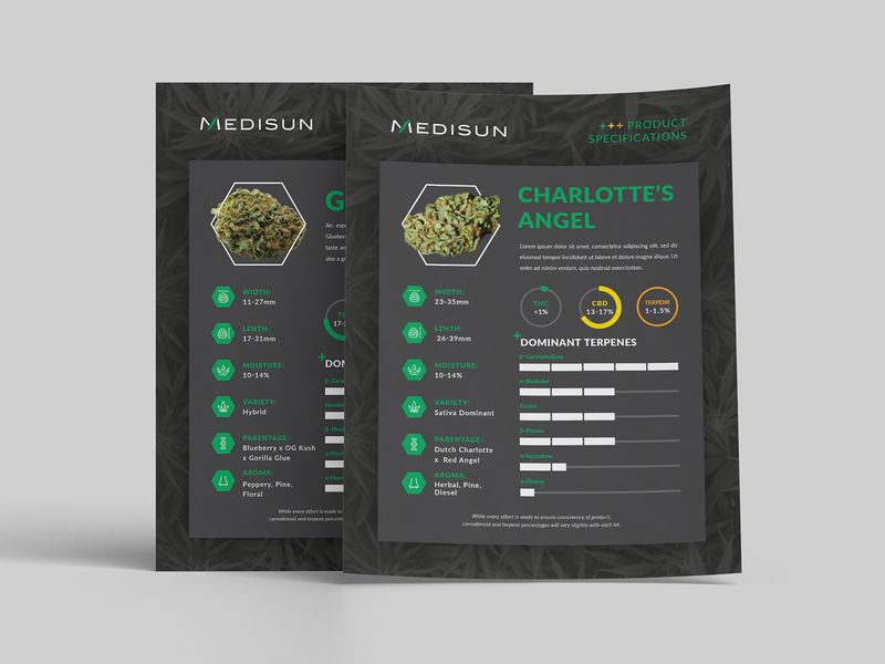 Product Spec Sheet Design for Cannabis