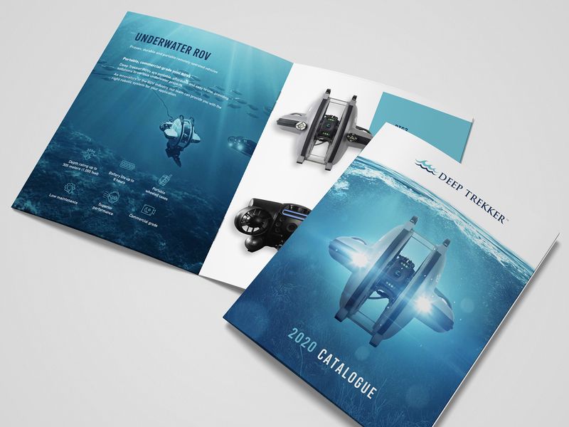 Consumer Product Catalog Design