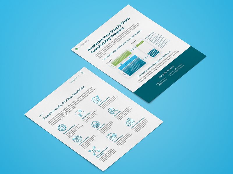 Product & Infographic Sheet Design