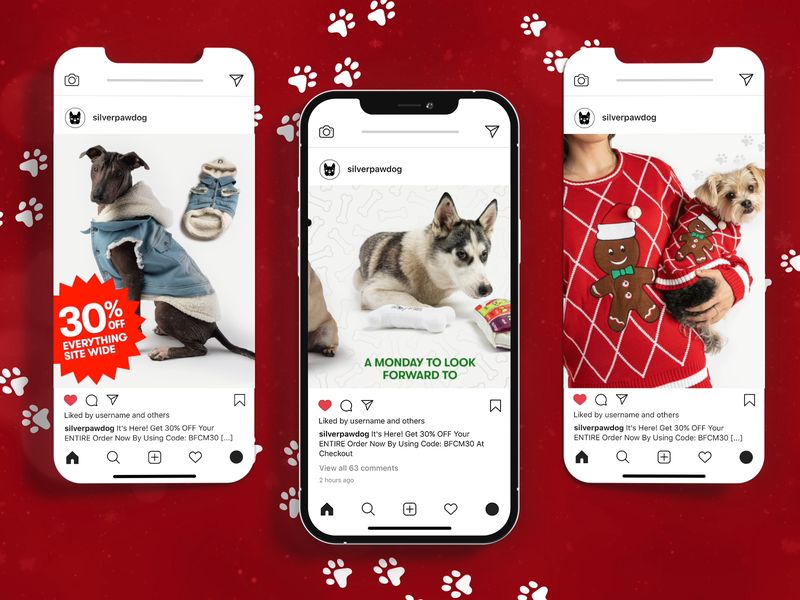 Black Friday Sale for Ecommerce Dog Brand