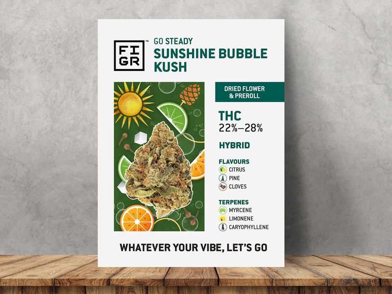 Cannabis Product Strain Sell Sheet Illustration Design