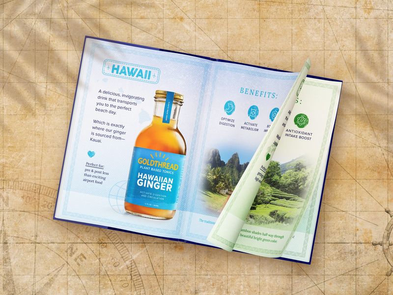 Ginger Drink Booklet