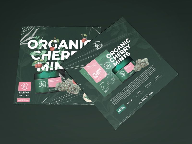 Cannabis Record Cover Design