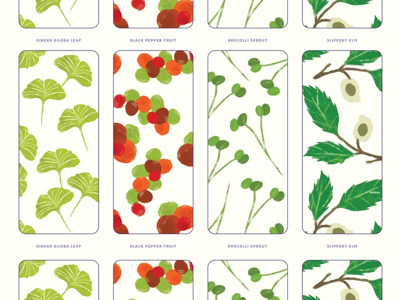 Brand illustration pattern designed for CPG snack packaging and trade show environments featuring stylized fruits vegetables and herbs