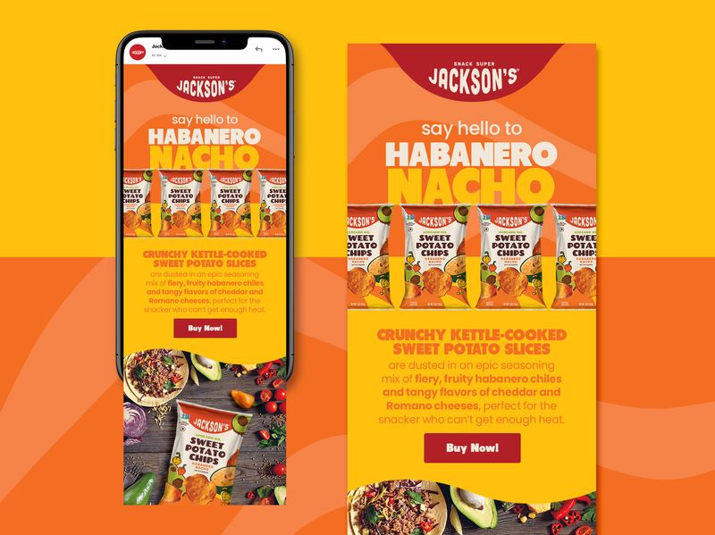 Potato Chips Newsletter Design