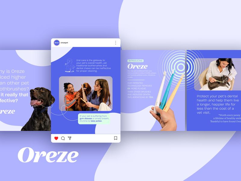 Social media ad design for pet care brand, digital marketing assets for Instagram and Meta campaigns featuring lifestyle imagery and product education
