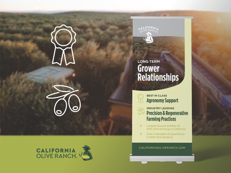 Banner Design for Olive Oil Brand