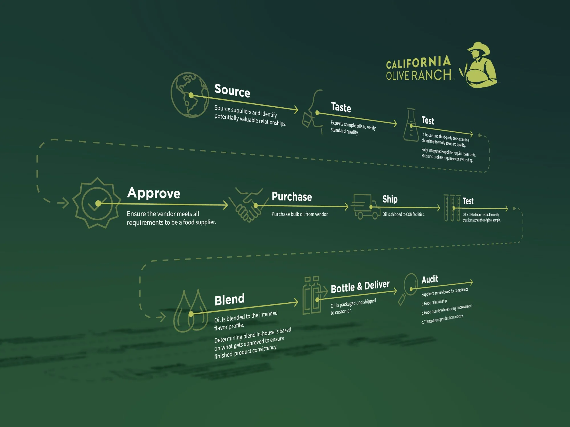 Infographic for Olive Oil Brand