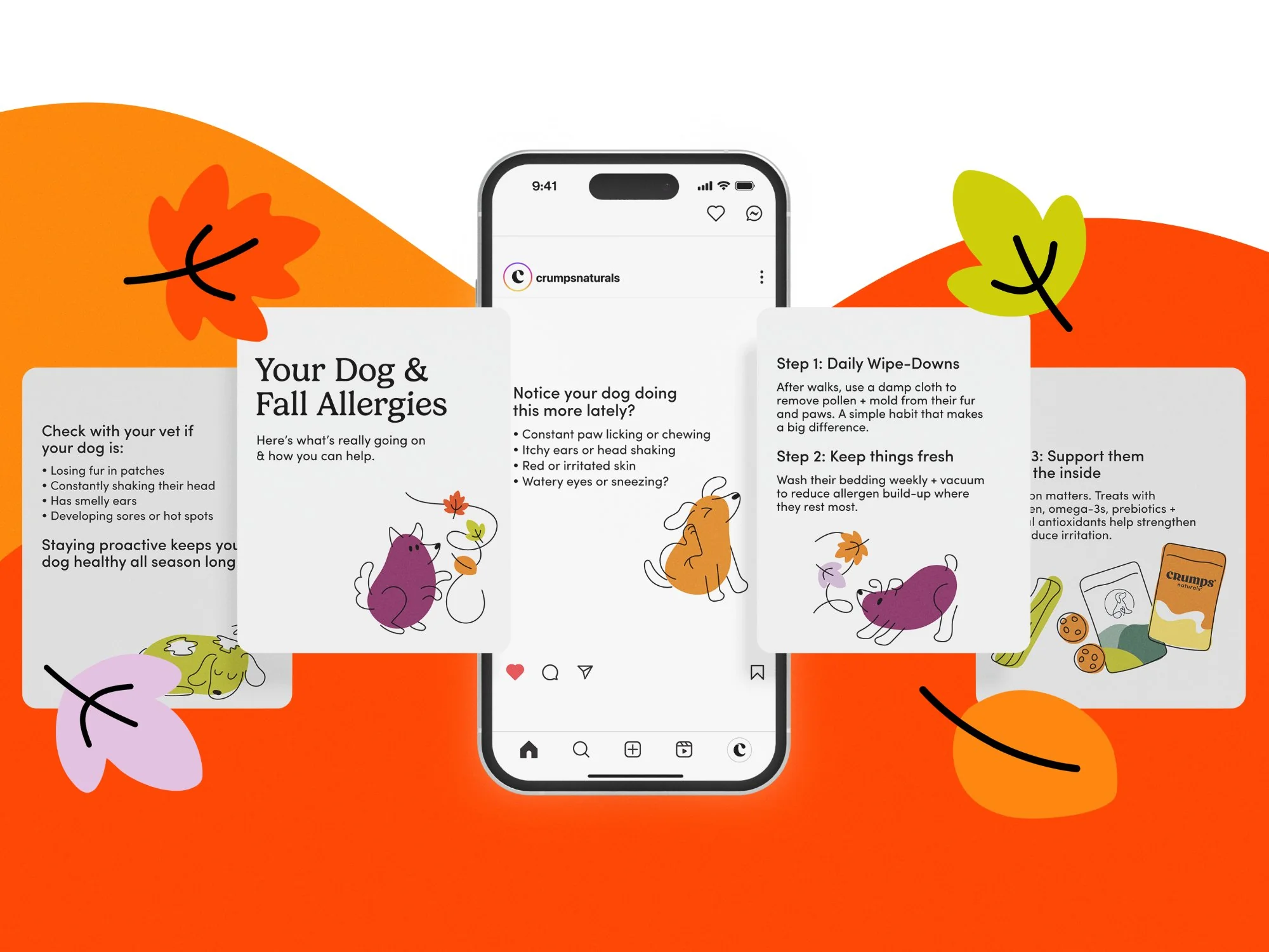 Social Media Content for Pet Brand