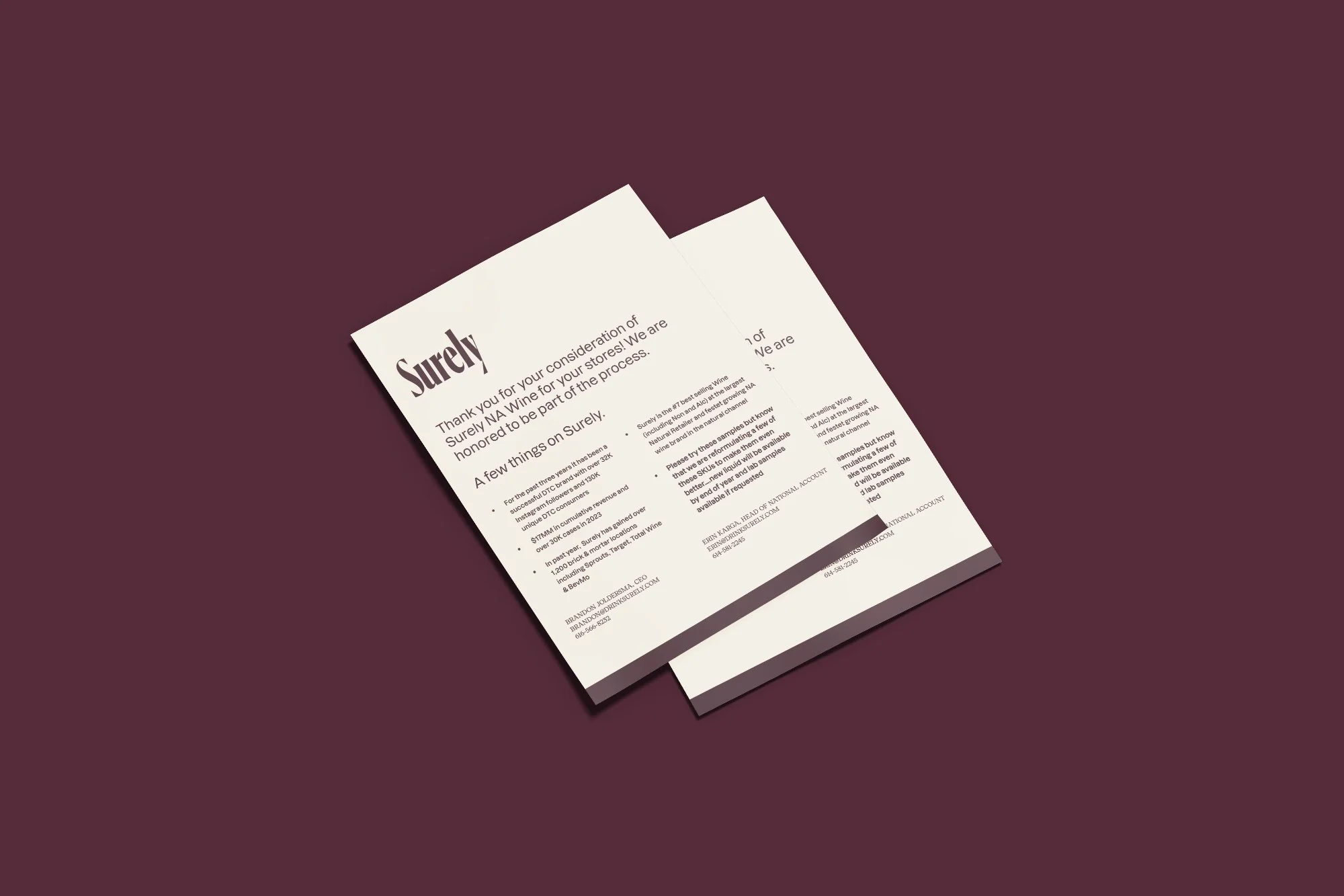 Sell Sheet for Non-Alcoholic Wine Brand