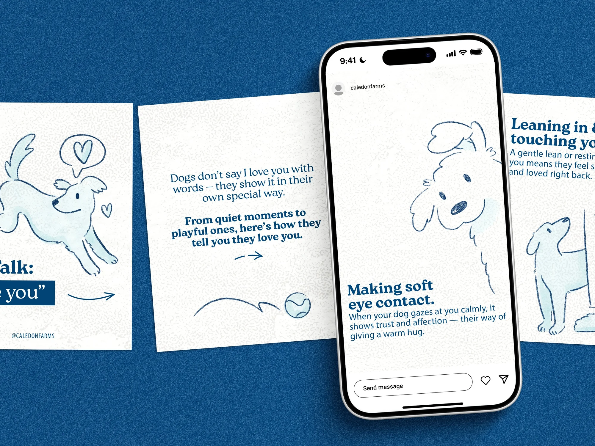 Social Carousel for Pet Treat Brand