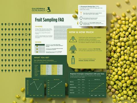 Fruit Sampling Infographic for Olive Oil Brand
