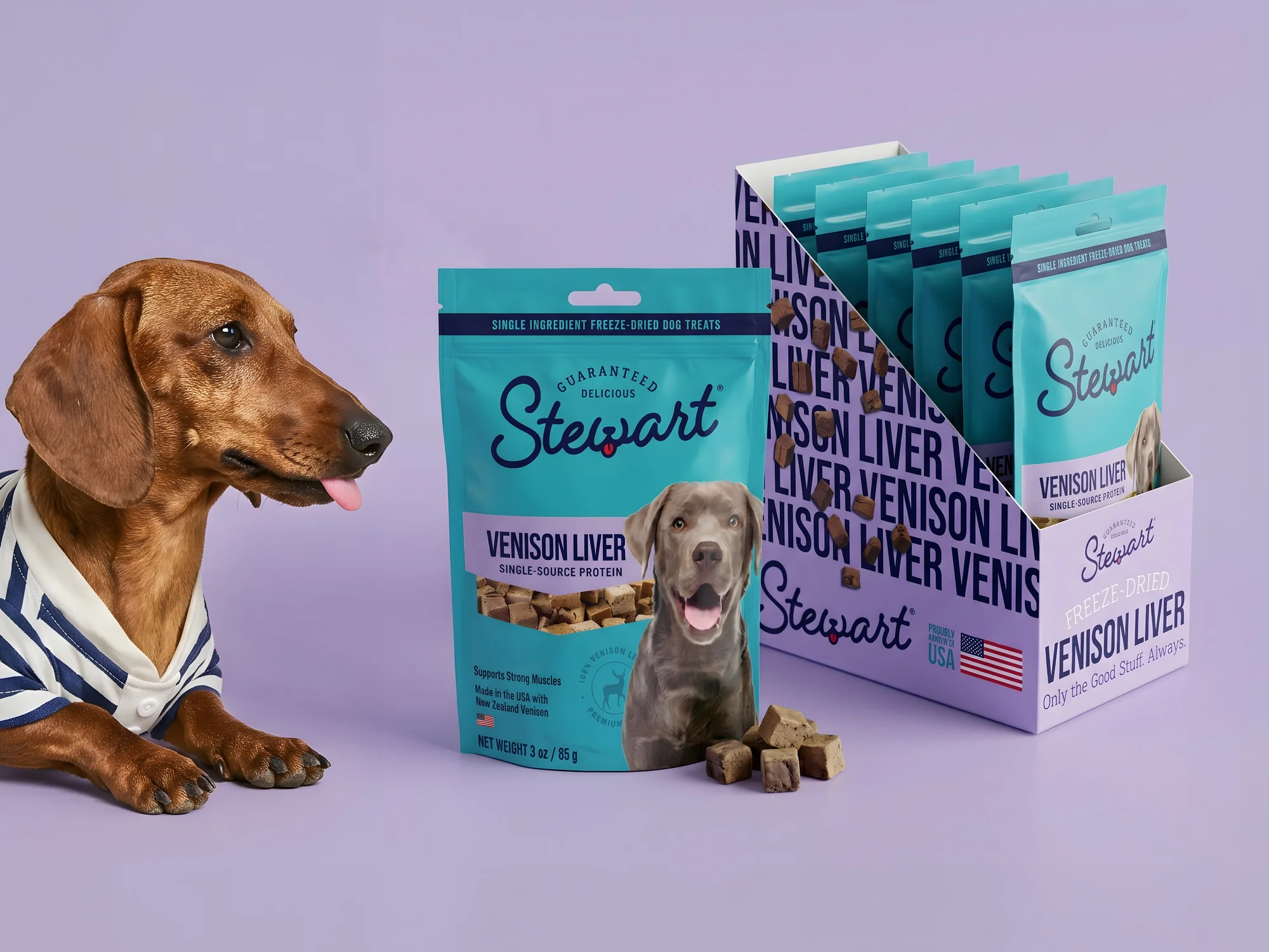 Packaging and Shipper for Freeze-Dried Dog Treat Brand