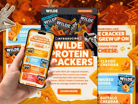 Cracker Launch Email for Protein Cracker Brand