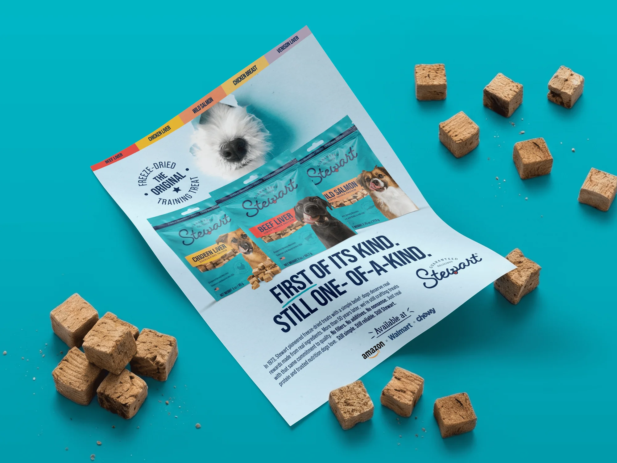 Freeze-Dried Treat Ad for Dog Treat Brand