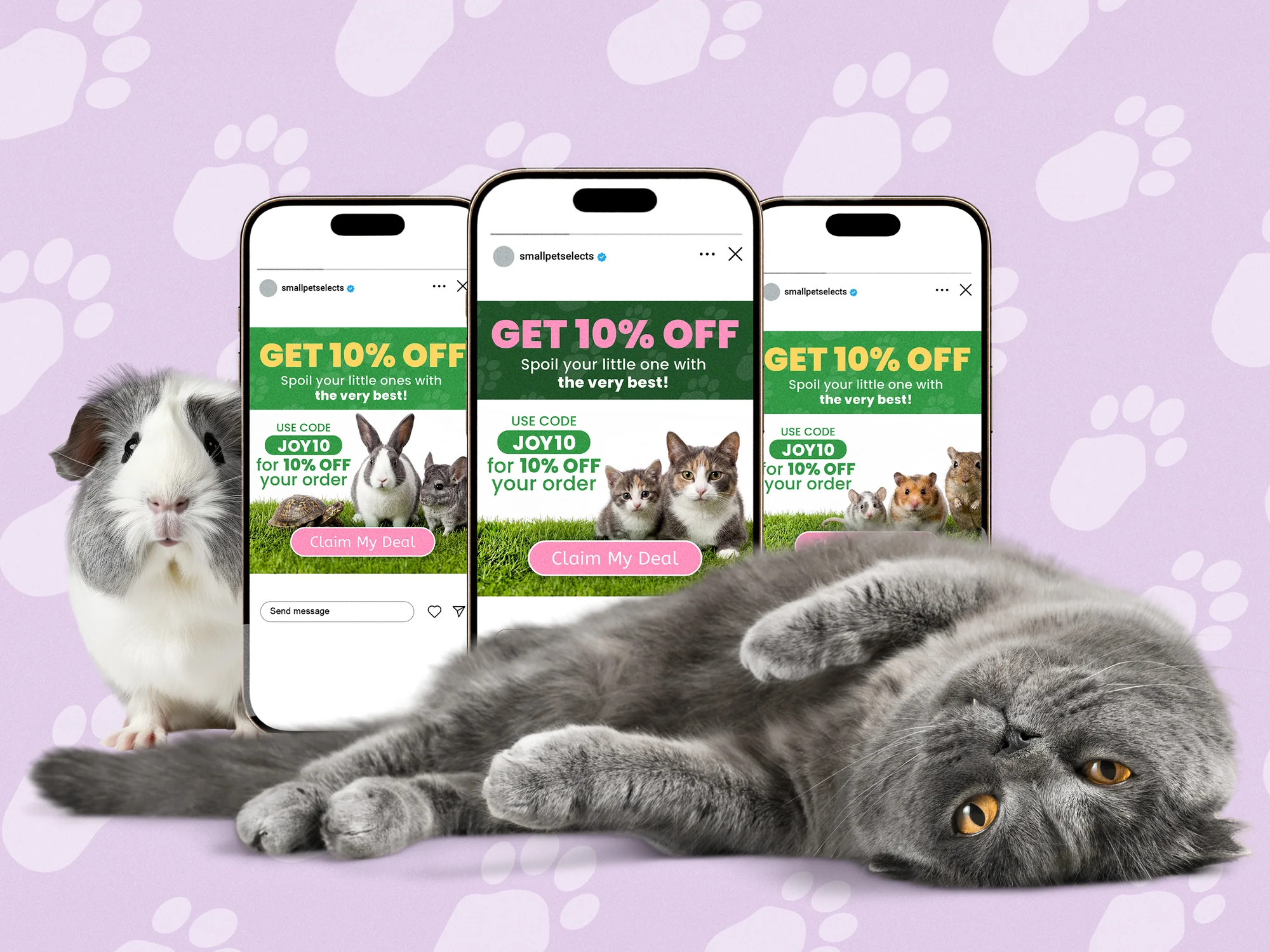 Small Pet Discount Social Ads for Small Pet Supply Brand