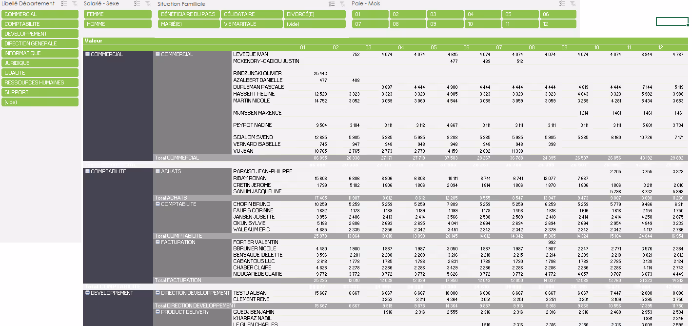 Rémunération salariale équilibrée - Sage BI Reporting