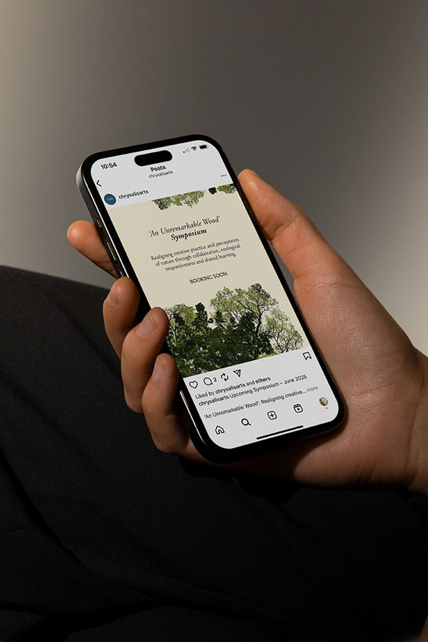 Chrysalis Arts Development Website Image