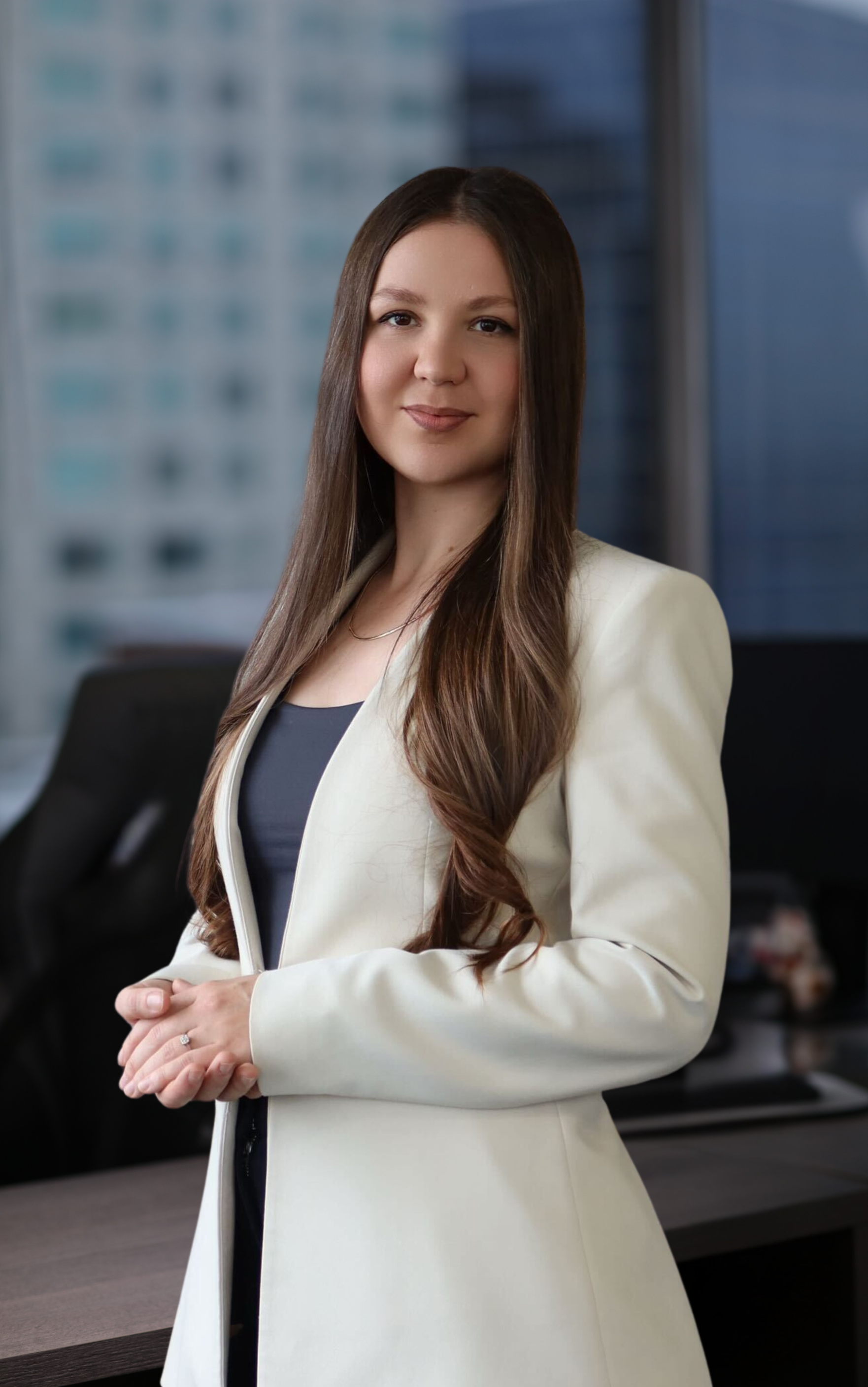 Immigration Consultant