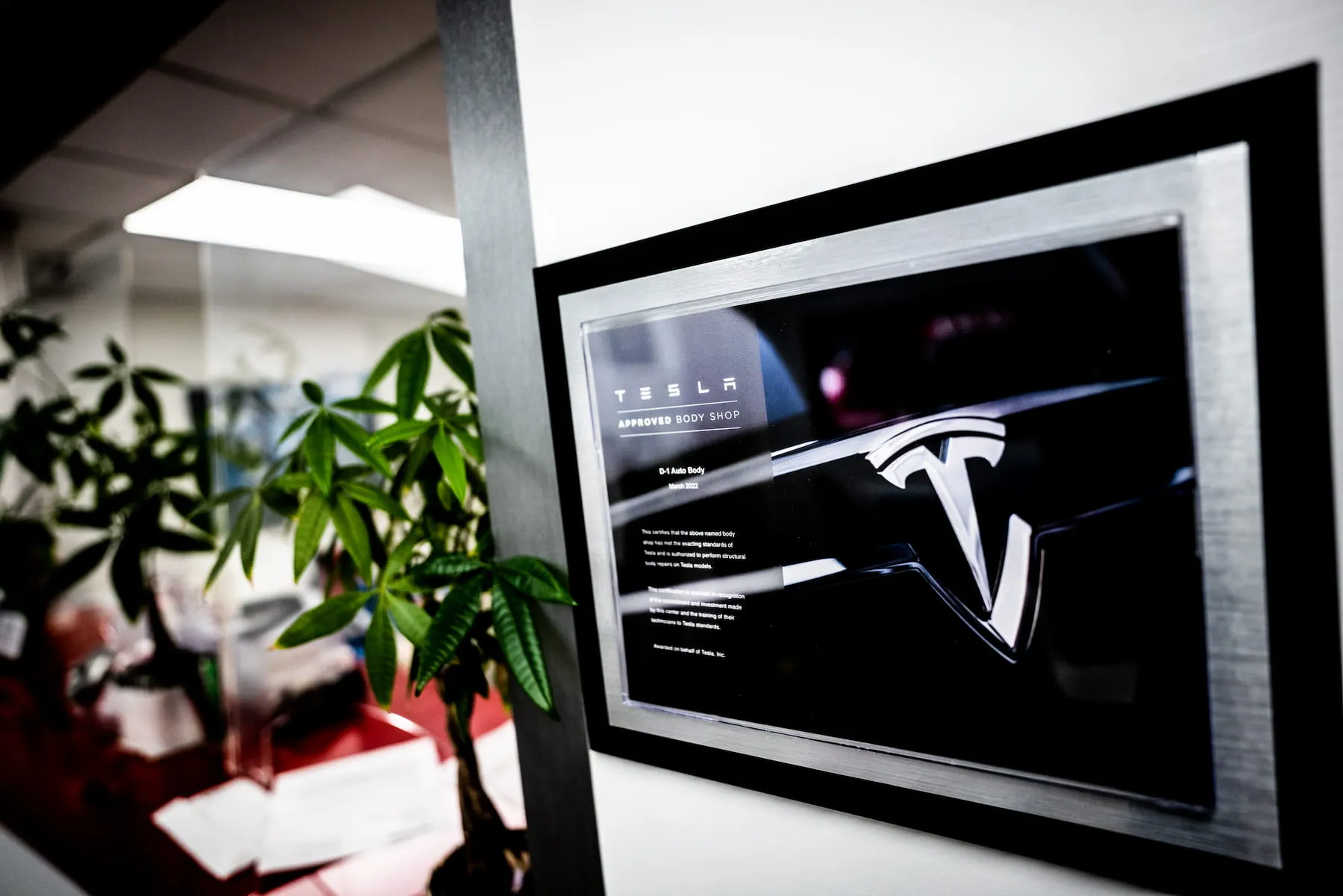 Framed Tesla Approved Body Shop certificate mounted on a white wall with a plant and office space blurred in the background.