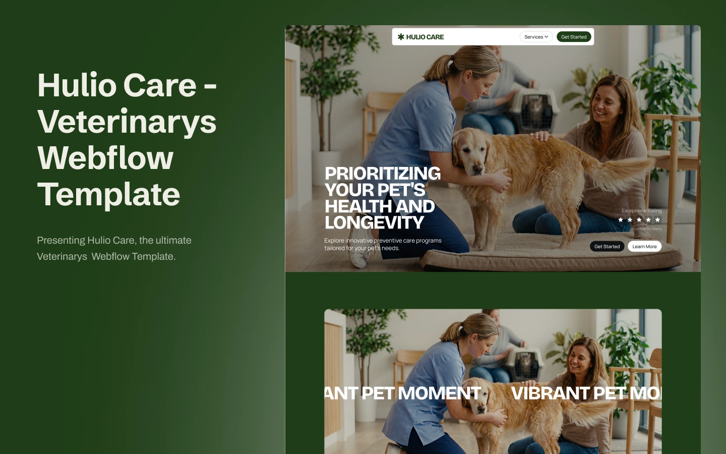 Hulio Care - Premium Webflow Template - Business Website Template