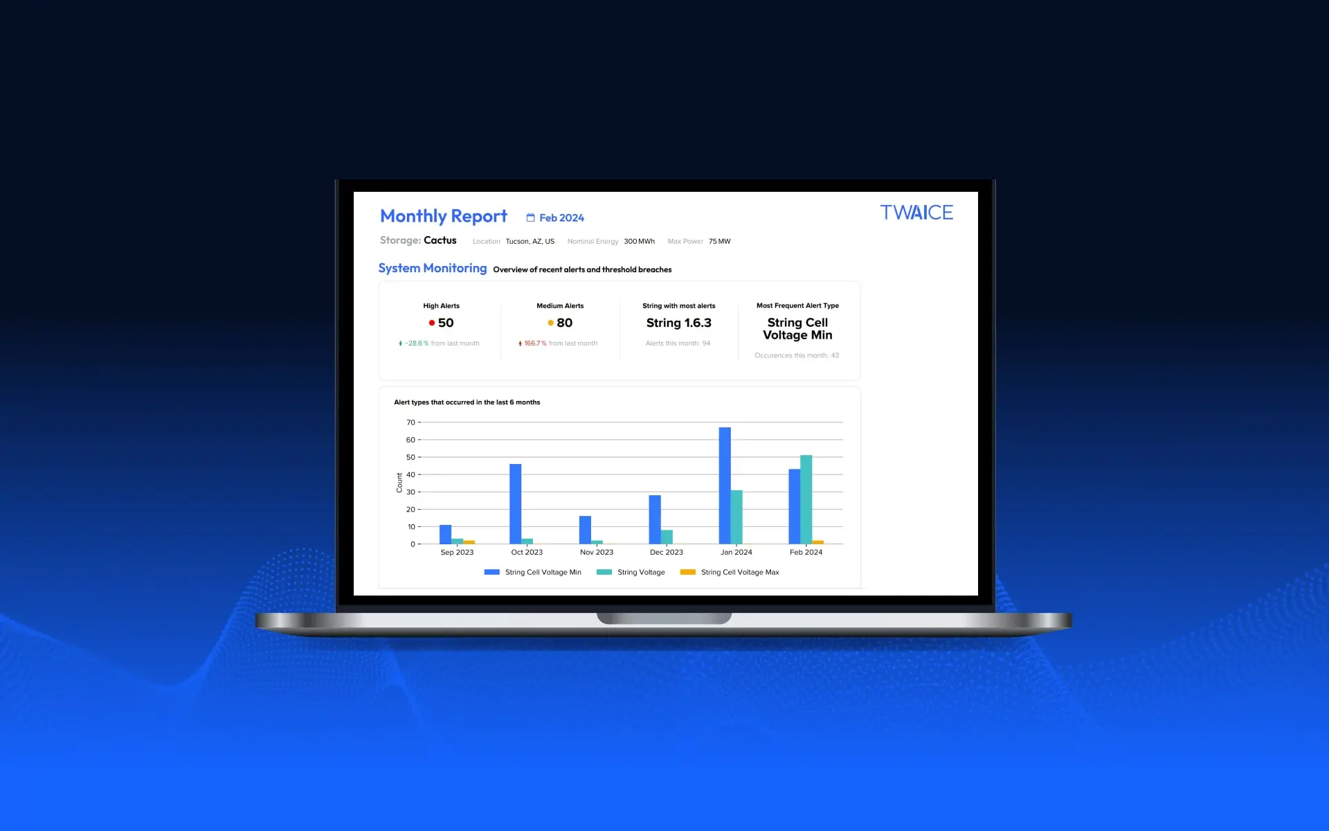 Automated Reports