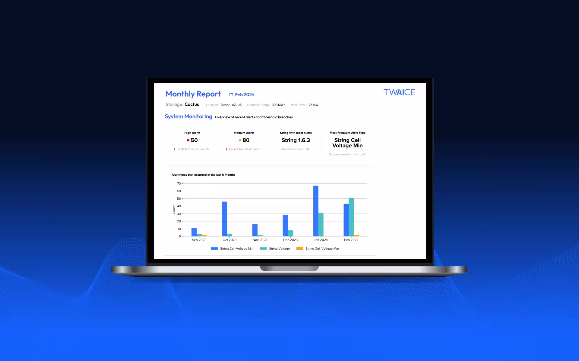 TWAICE Automated Reports