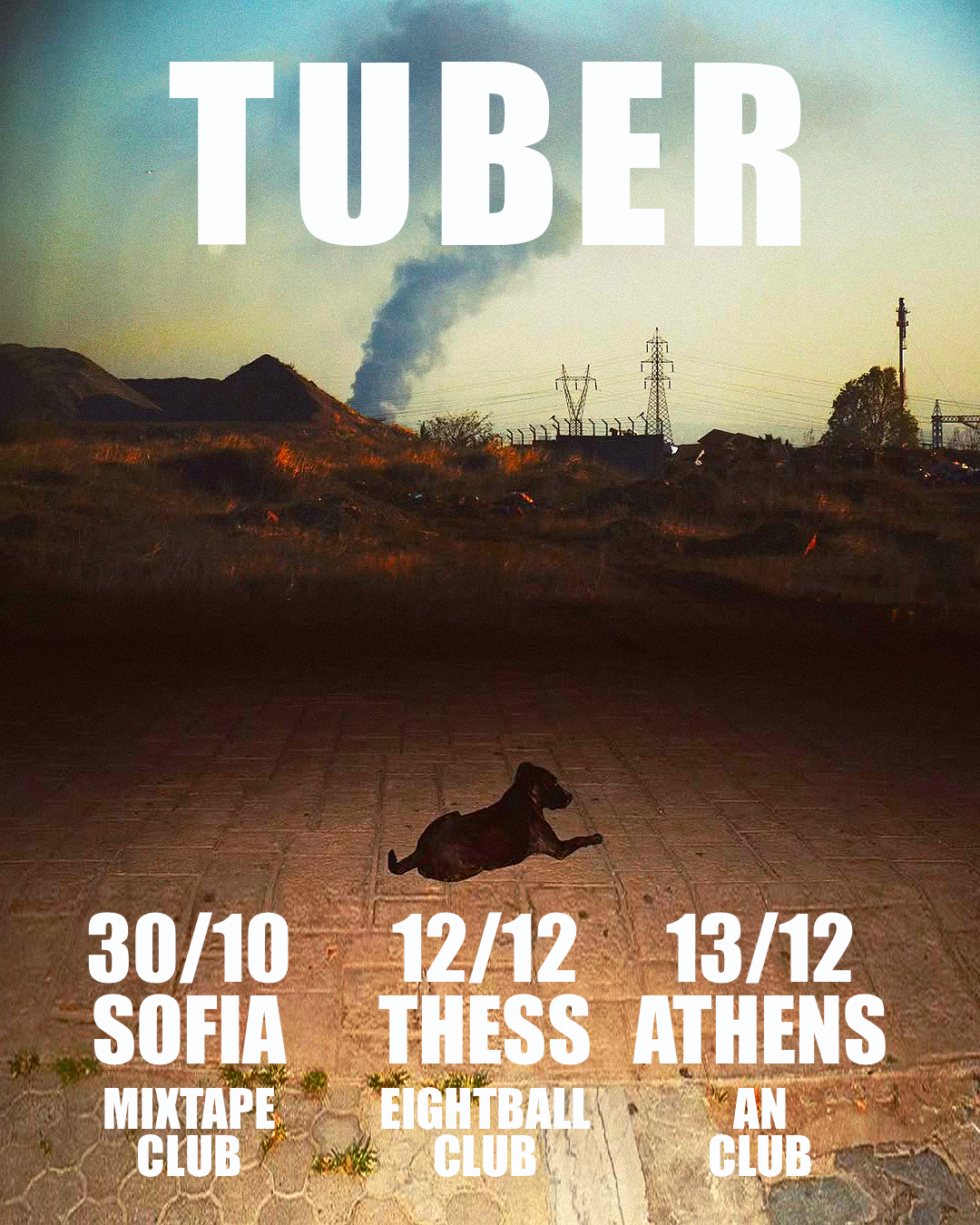TUBER