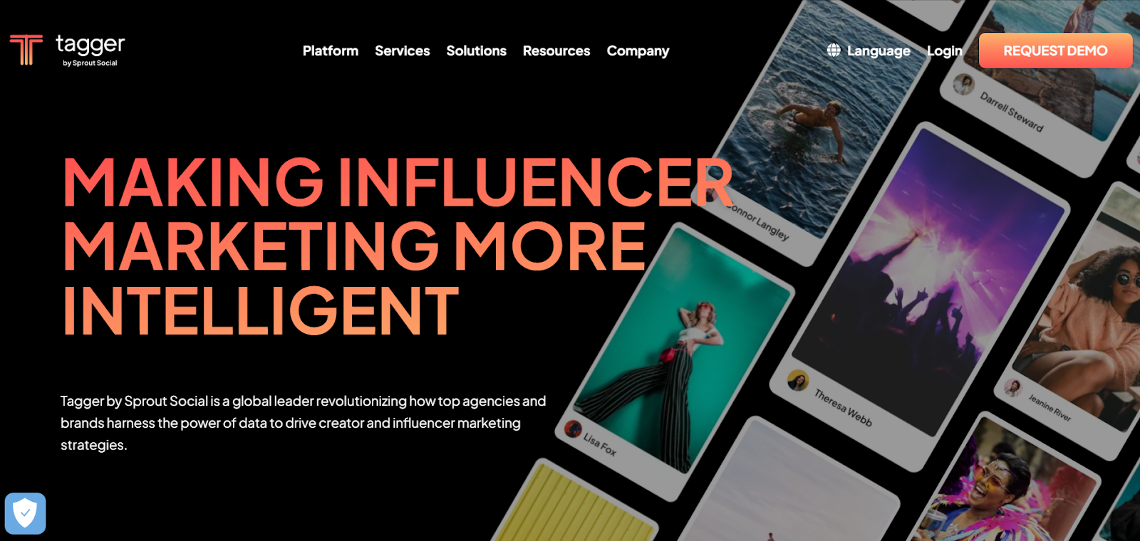 <img src="Tagger-software.png" alt="Tagger software landing page">