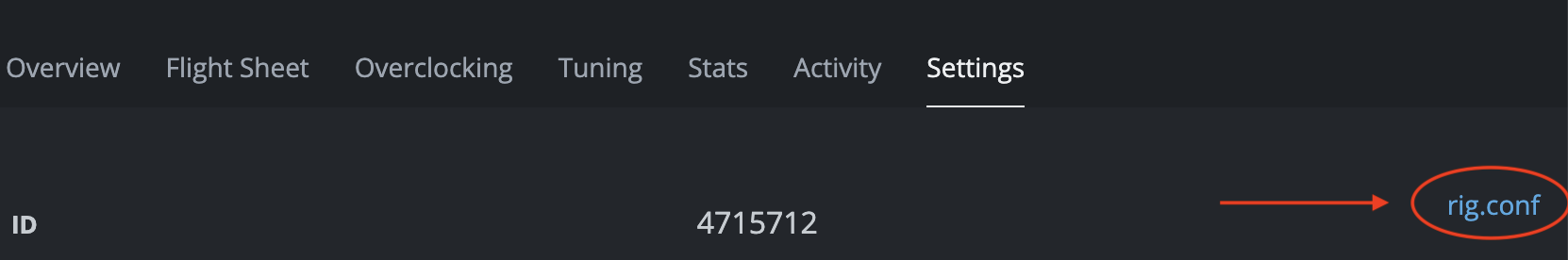 HiveOS settings: screenshot with the rig.conf link highlighted - Cryptohall24